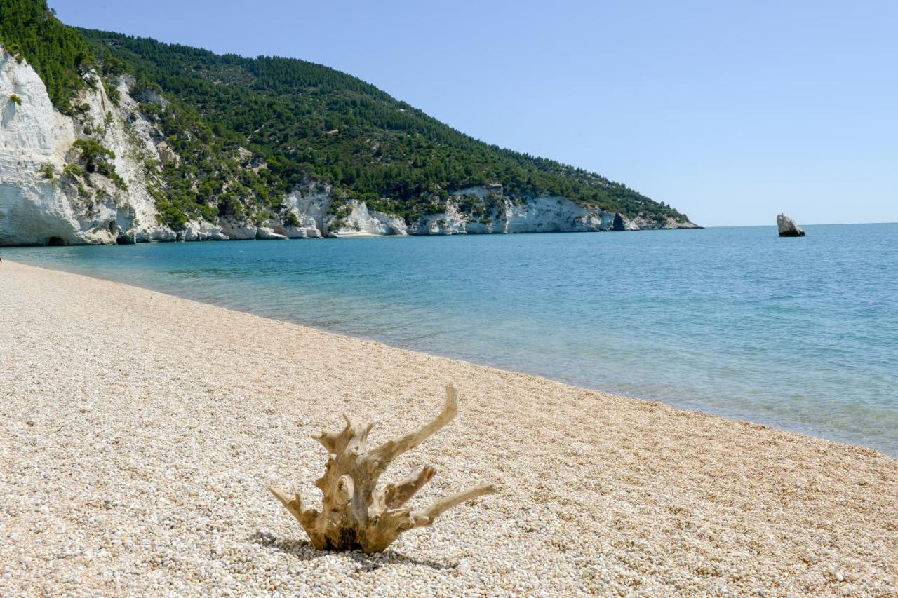 Dimora Storica Fronte Mare Con Terrazzo Privato Villa Torre Canne Exteriör bild